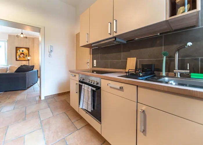 Stylish By The Rhine River Koblenz (Rhineland-Palatinate)